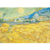 A yellow field under a bright sky with rolling hills and distant mountains.