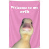 A pink tapestry featuring a cartoon duck looking out from its crib.