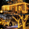 House and tree decorated with warm fairy string lights illuminating the exterior.
