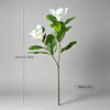 A tall artificial magnolia tree with white silk flowers on a slender stem, shown without a pot.