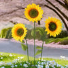 A yellow sunflower in bloom stands in a garden setting with pink blossoms and green foliage.