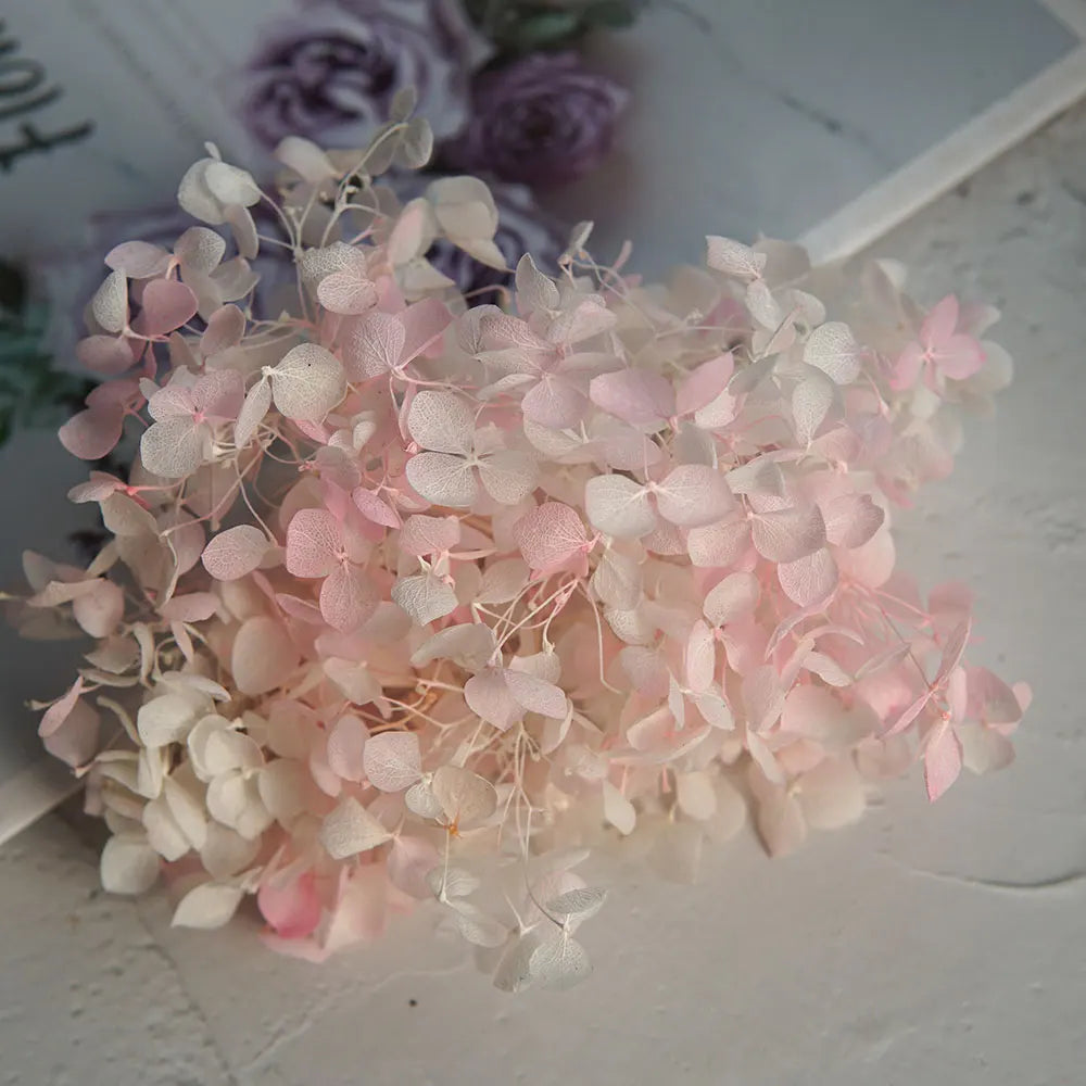 A cluster of dried pink and white hydrangea florets used for home decor