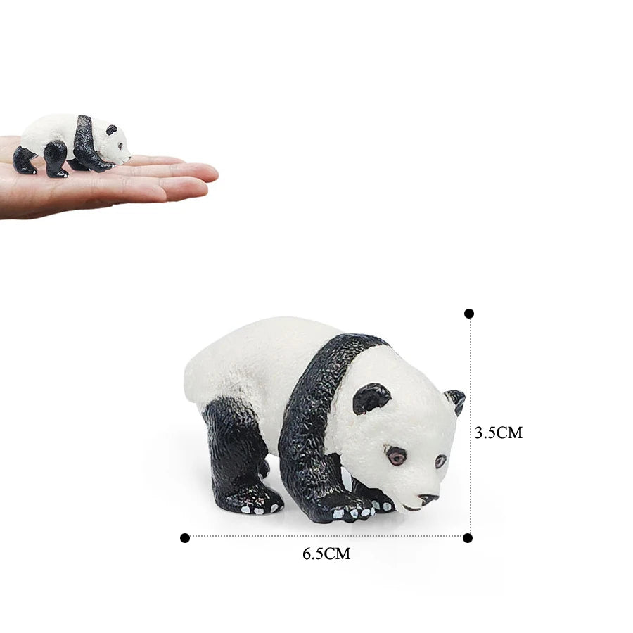 A realistic panda figurine showing the life cycle, with dimensions of 3.5cm by 6.5cm.
