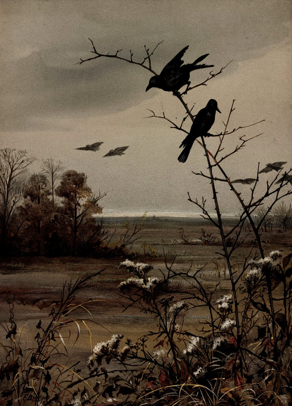 A moody print featuring a black bird perched on a bare branch against a gray, overcast sky.