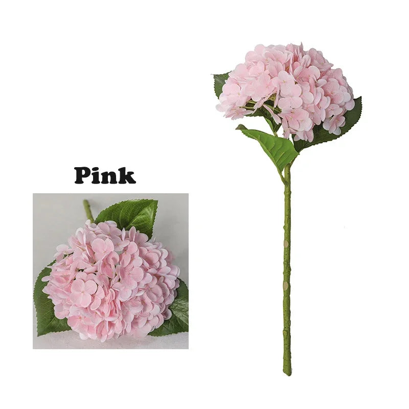 Pink hydrangea flower on a green stem and leaves