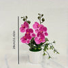 Artificial pink phalaenopsis orchid plant in a white pot with green leaves