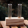 A glass test tube propagation station with a wooden stand holding two glass tubes.