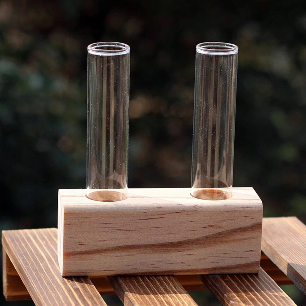 A glass test tube propagation station with a wooden stand holding two glass tubes.