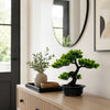 An artificial bonsai pine tree in a black pot sits on a wooden cabinet next to a mirror.