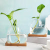 A clear glass vase shaped like a heart holds green plant roots on a wooden stand.