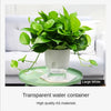 A transparent water container filled with green leaves sits on a light green tray next to a white sofa.