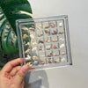A hand holds an acrylic magnetic display box filled with various natural seashells.