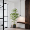 An artificial bamboo tree in a dark pot stands on a wooden shelf in a modern interior setting.