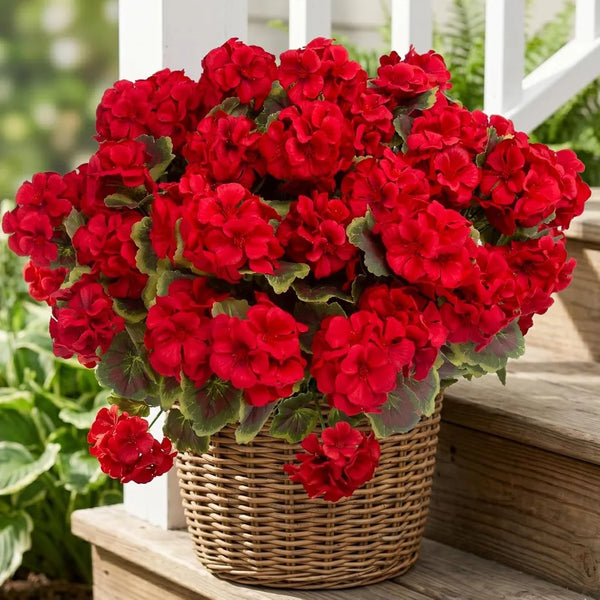 A vibrant bouquet of artificial silk red geranium flowers in a woven basket