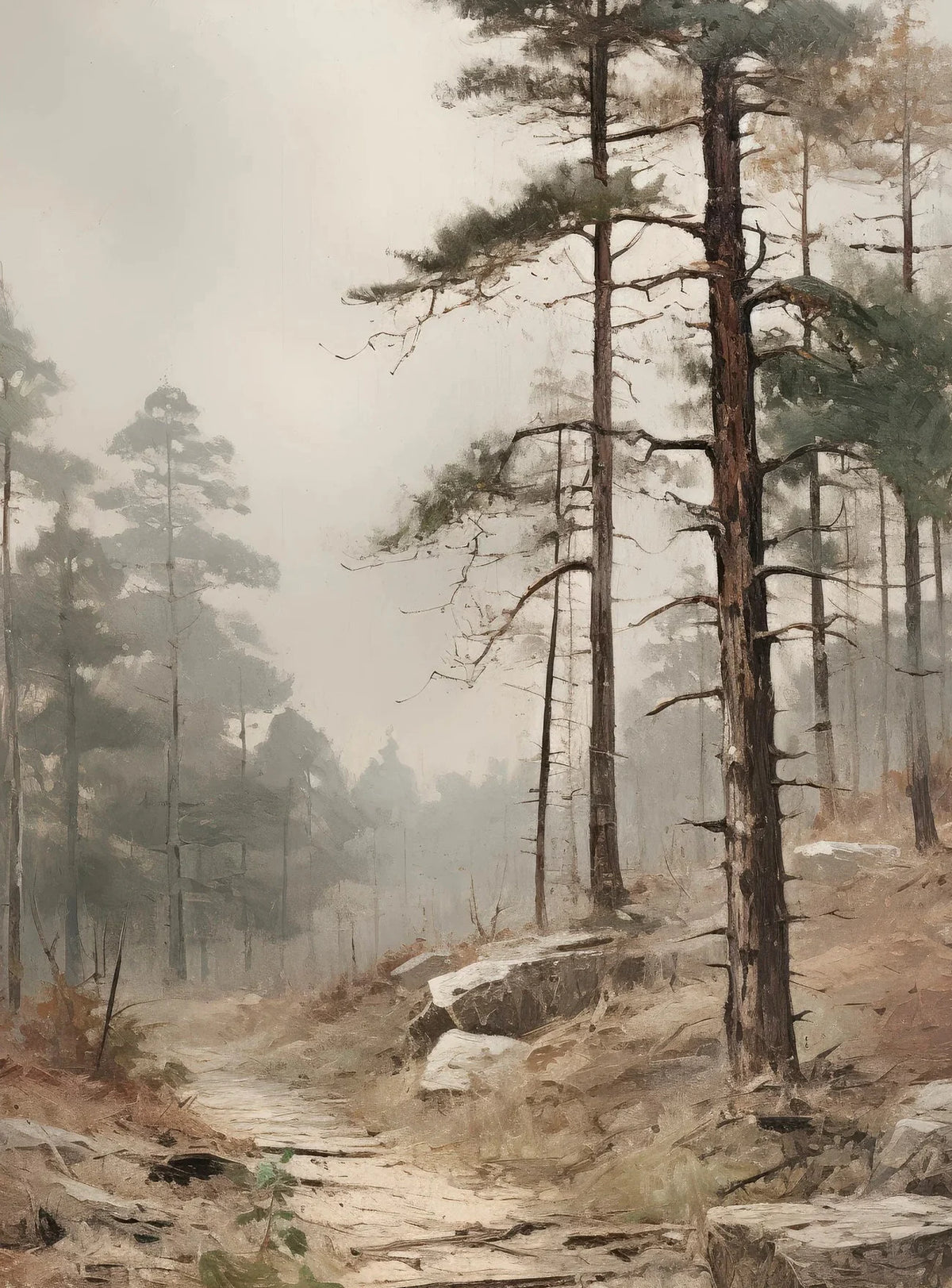 A misty forest scene with tall pine trees and a dirt path winding through the fog.