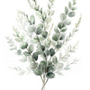 Watercolor illustration of various sage green botanical leaves and sprigs.