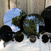 A set of natural obsidian mirrors reflecting trees and the sky on a white wooden surface.