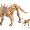 A light brown dinosaur skeleton model showing the full body and legs, with a scale indicating its size.
