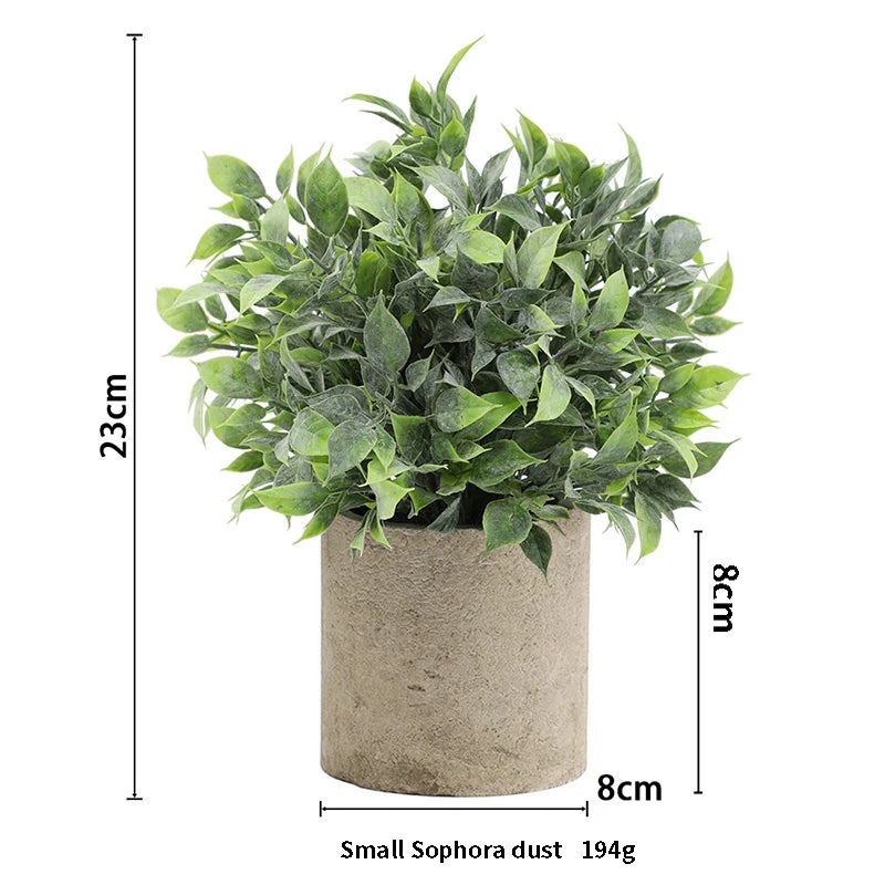 A lush green eucalyptus plant in a rustic gray pot with a height of 23cm.