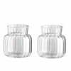 Clear glass vase with vertical ridges and a rounded base for home decor