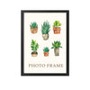 A photo frame displaying five small potted succulents in terracotta and stone pots.