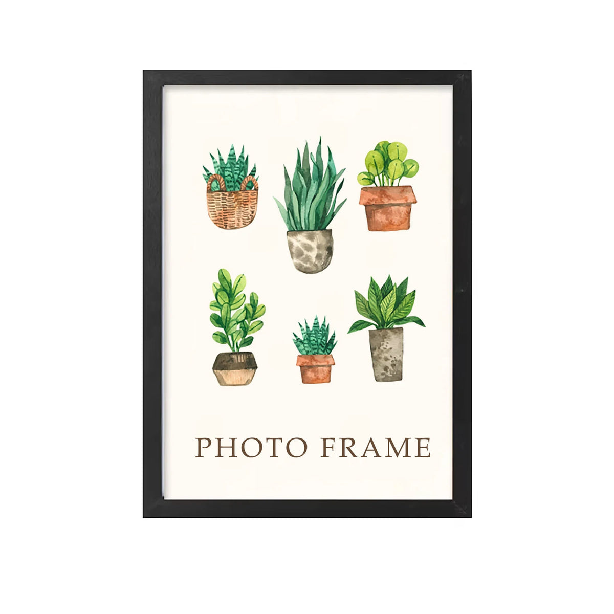 A photo frame displaying five small potted succulents in terracotta and stone pots.