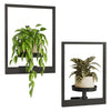 A black metal wall planter holding a vibrant green pothos plant.