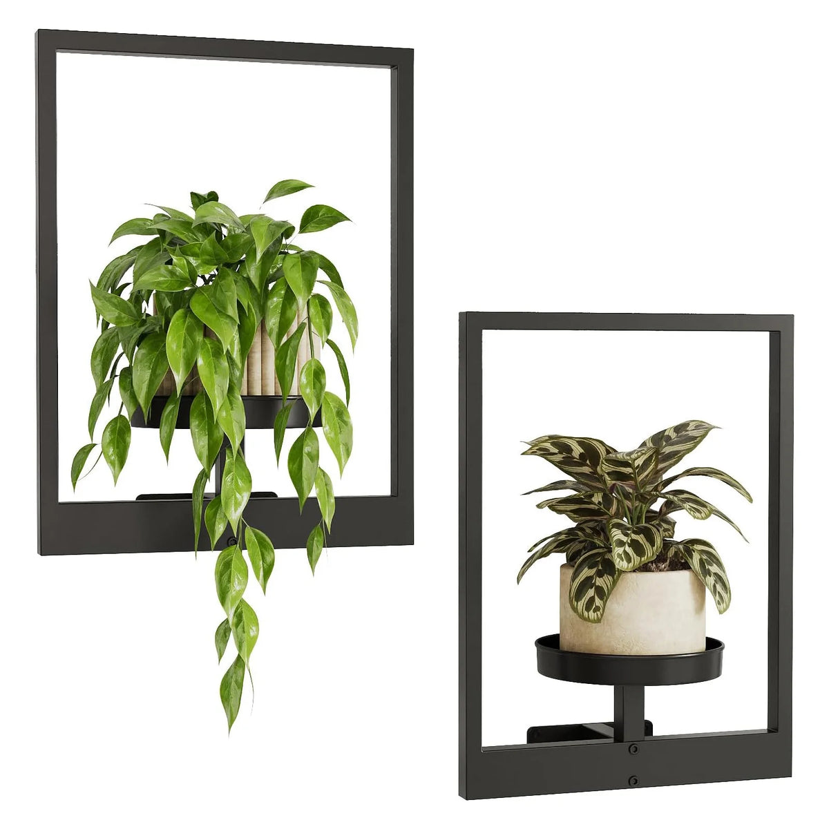 A black metal wall planter holding a vibrant green pothos plant.