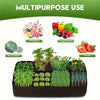 Extra large 8-grid elevated garden bed showing various plants including flowers, vegetables, succulents, and fruit