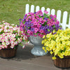 A vibrant bouquet of artificial flowers featuring purple, pink, and yellow blooms displayed in white planters.