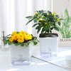A white self-watering planter holds a green plant with yellow flowers, set on a white surface.