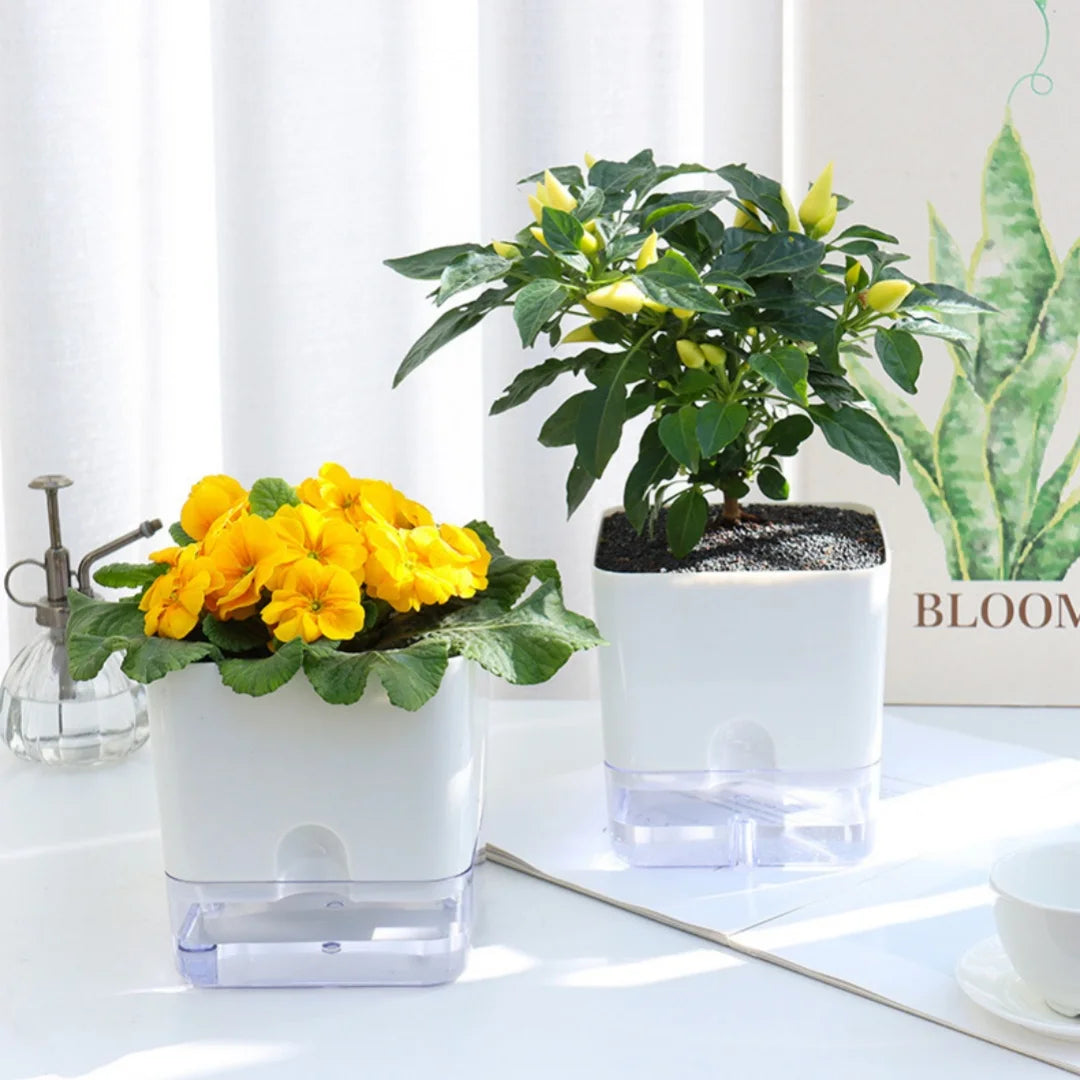 A white self-watering planter holds a green plant with yellow flowers, set on a white surface.