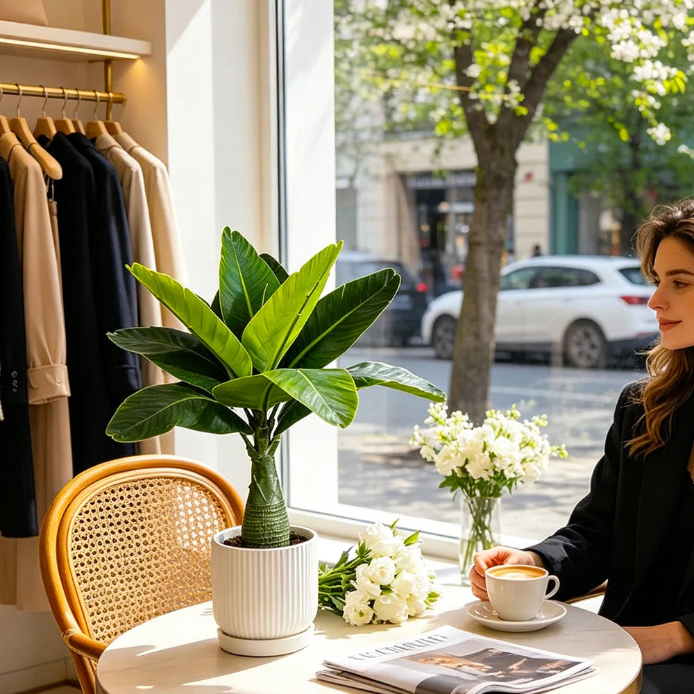 Un árbol de plátano artificial en una maceta blanca sobre una mesa junto a una mujer leyendo.