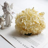 A bouquet of cream colored silk hydrangea stems with vintage burnt edge petals