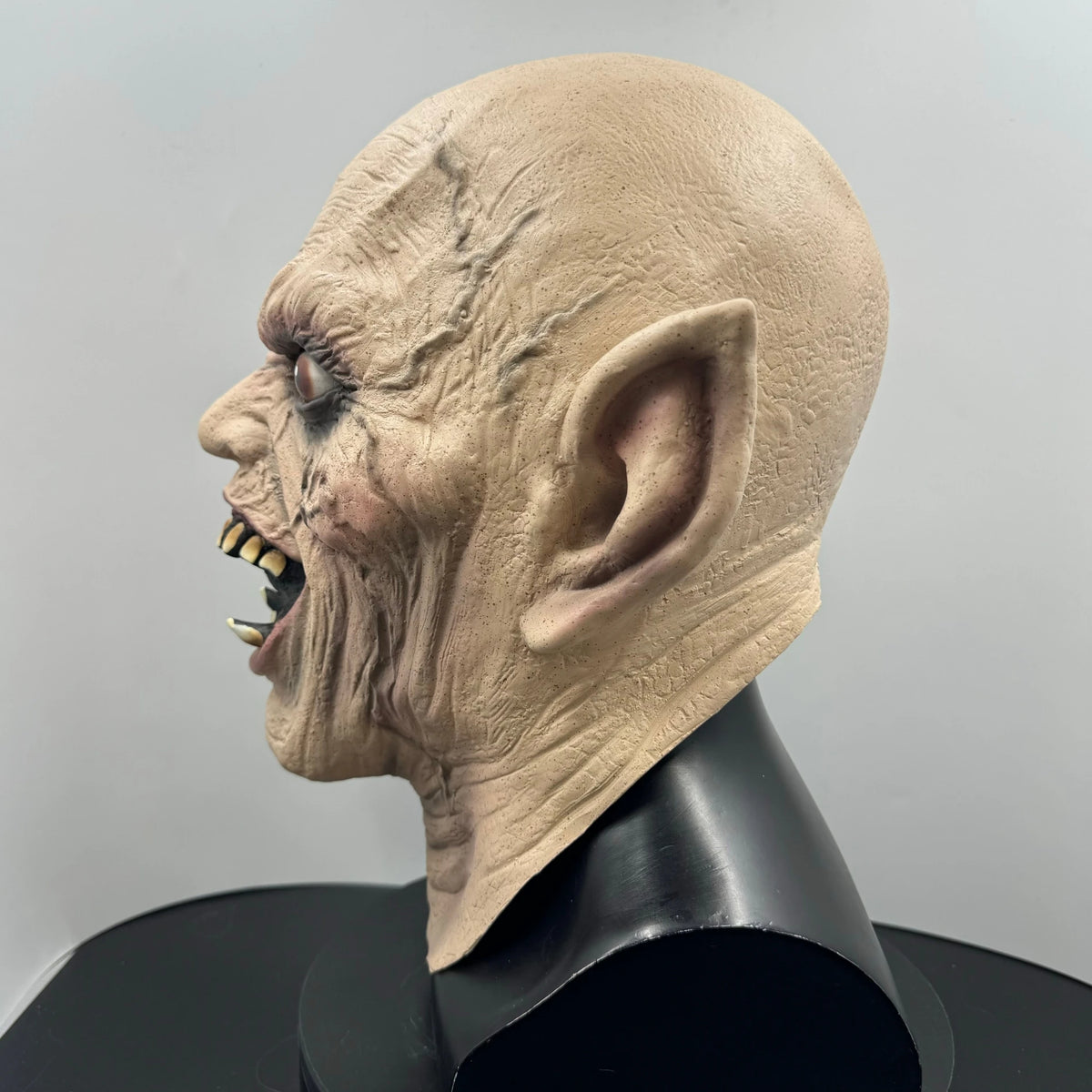 A realistic, aged human skull mask made of latex with sharp teeth, displayed on a black bust.
