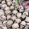 Miniature Skull Figurines for Garden & Bonsai Decor