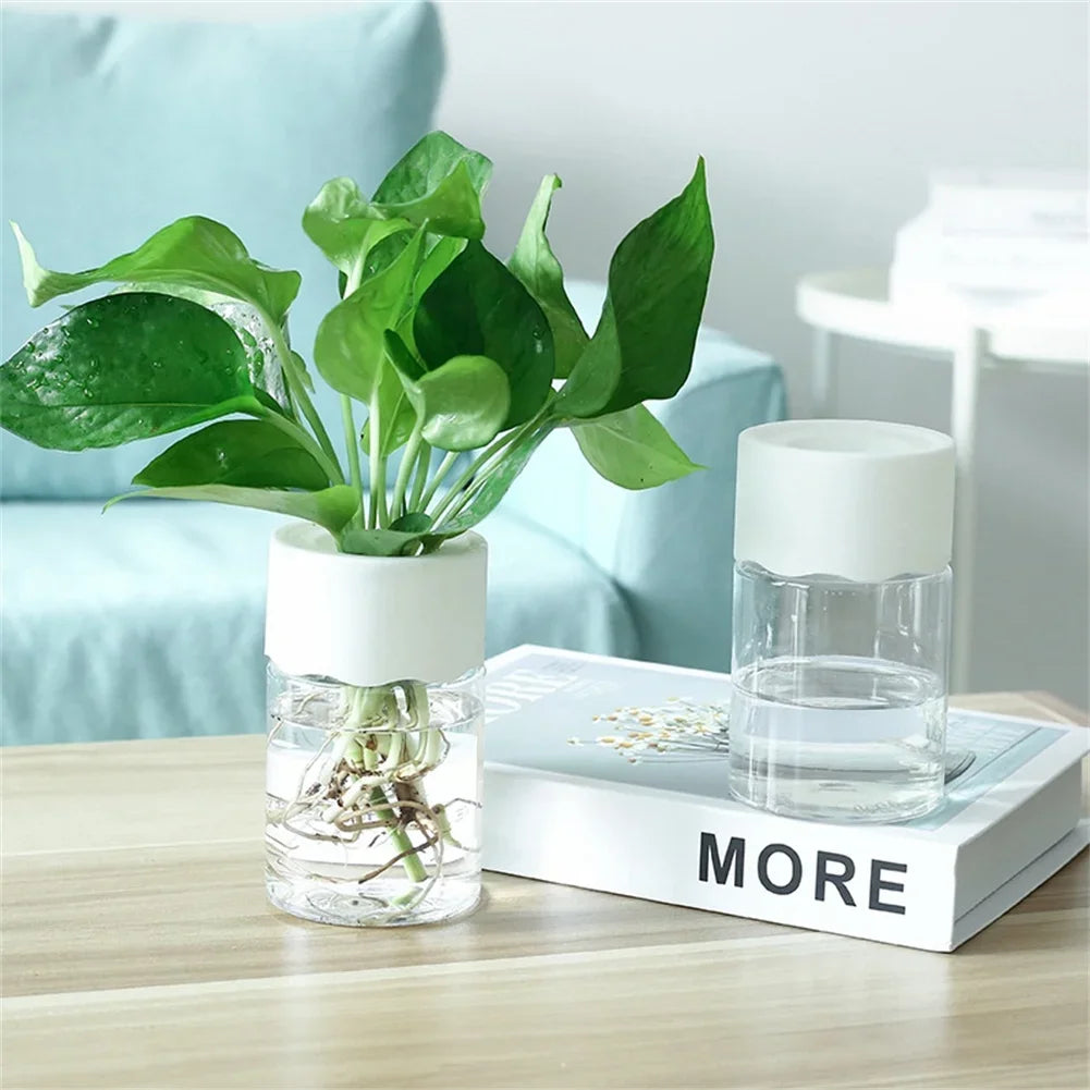 A glass hydroponic planter containing plant roots sits on a wooden table next to a white glass container.