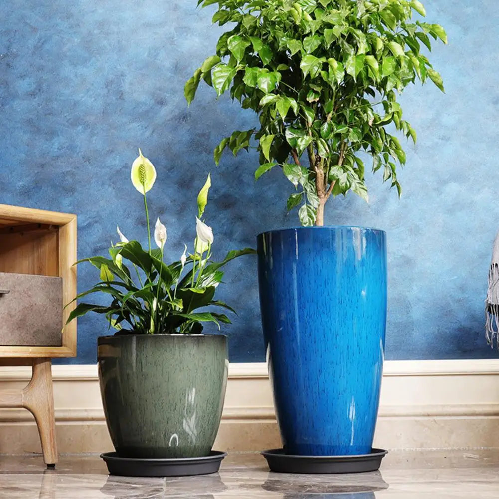 A large blue ceramic planter holding a green Monstera plant on a light wooden surface.