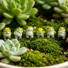 A set of six cute mini resin frog figurines sitting on green moss and succulent plants.