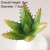Artificial Succulent Bonsai for Desk & Home Decor