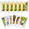 A set of clear acrylic photo fridge magnets featuring Polaroid-style frames with various outdoor and portrait photographs.