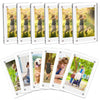 A set of clear acrylic photo fridge magnets featuring Polaroid-style frames with various outdoor and portrait photographs.