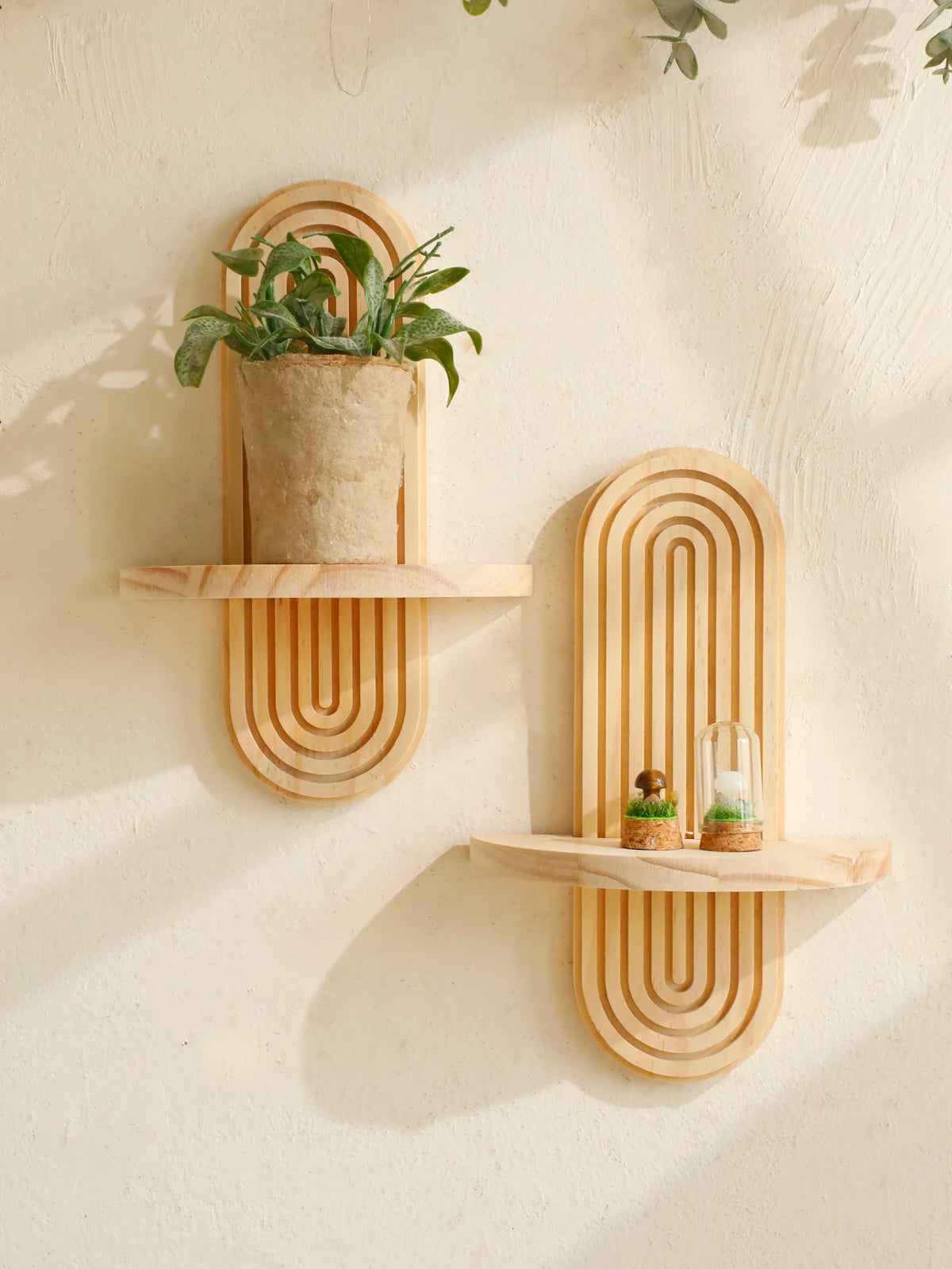 Geometric wooden wall shelves displaying a potted plant and a glass terrarium.