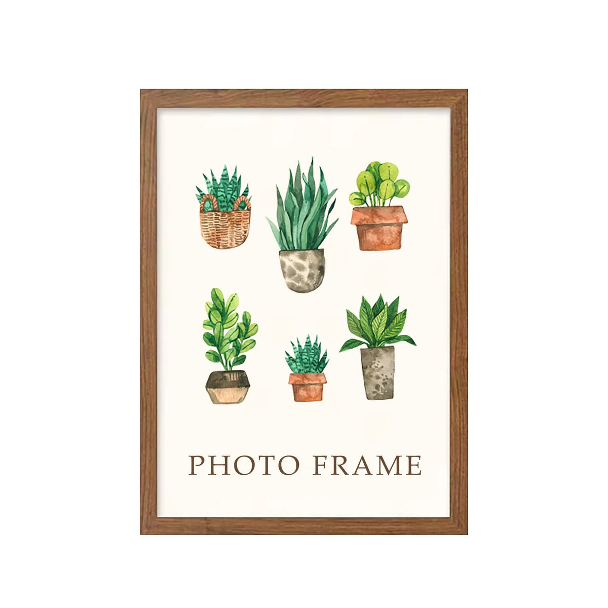 A photo frame displaying five potted succulents in terracotta and stone pots on a white background.