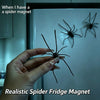 A hand holds a realistic black spider magnet against a white refrigerator surface.