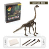 A model of a dinosaur skeleton, No. 503, shown next to its packaging and included excavation tools.