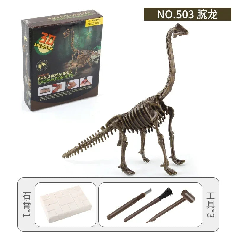 A model of a dinosaur skeleton, No. 503, shown next to its packaging and included excavation tools.