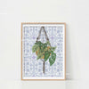 Botanical philodendron canvas wall art featuring a green plant in an orange pot on a patterned background