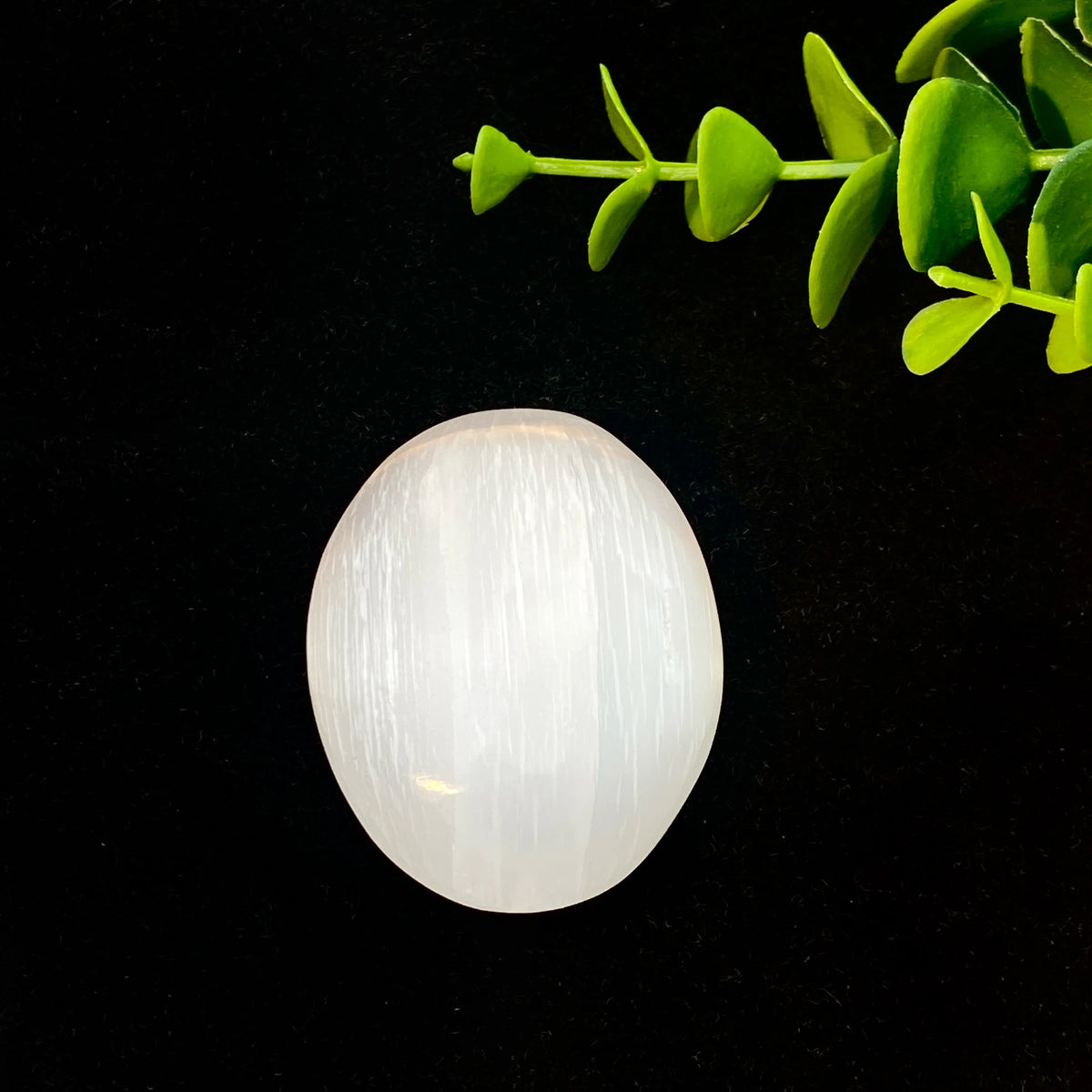 A smooth, translucent white selenite palm crystal is suspended against a dark background with green foliage above it.