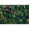A dense, vibrant green tropical jungle leaf photography backdrop featuring various large and small leaves and red flowers.